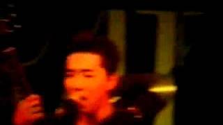 HILLBILLY BOPS【LIVE】Jeepster [upl. by Hsotnas]