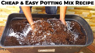 This is what happens when you use your own Potting mix vs Potting soil  EasyCheap DIY Potting Mix [upl. by Kozloski]