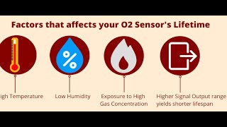 Medical Oxygen Sensor Lifetime [upl. by Adivad796]