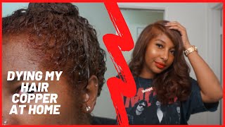 HOW TO DYE YOUR HAIR AT HOME LIKE A PRO NO BLEACH [upl. by Naarah999]