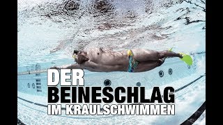 Kraulschwimmen Warum Beineschwimm Sets wichtig sind  SWIMAZING UNIVERSITY [upl. by Euqinomad]