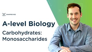 Carbohydrates Monosaccharides  Alevel Biology  OCR AQA Edexcel [upl. by Guadalupe]