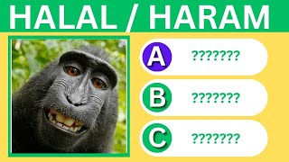 Islamic Quiz 🕌  Haram or Halal Animals To Eat  no music [upl. by Bertrand]