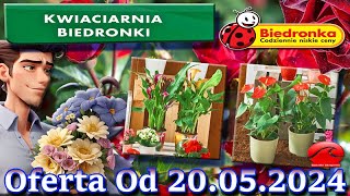 𝐁𝐈𝐄𝐃𝐑𝐎𝐍𝐊𝐀🐞Kwiaciarnia Biedronki Nowa Oferta Od 20052024 Kwiatowe Inspiracje Biedronki Tanie Kwiaty [upl. by Hershel516]