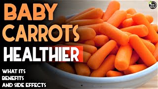 Baby Carrots Health Benefits side effects  uses [upl. by Sterrett]