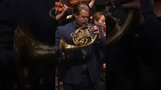 The grand finale Full performance below frenchhorn JohnTurman music [upl. by Ataliah]