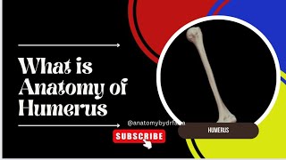 Humerus AnatomyHumerus What is Anatomy of Humerus  Anatomywithdrfaiza [upl. by Ocram775]