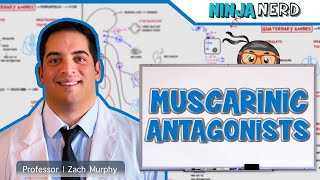 Autonomic Pharmacology  Muscarinic Antagonists [upl. by Buna]