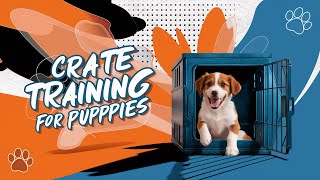 The Ultimate Guide To Crate Training Your Puppy [upl. by Annahoj]