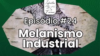 S03E02 — Melanismo Industrial é evidência de Seleção Natural IFP24 [upl. by Liuqa]