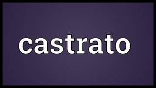 Castrato Meaning [upl. by Lenwood]