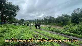 A forest ride through masinagudi bandipur forest [upl. by Nollahs582]