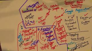 Immunohistochemistry  part 2  Sample Preparation  urdu Hindi [upl. by Curcio612]