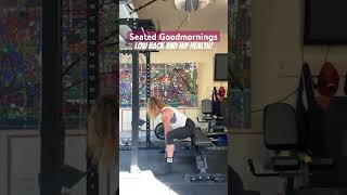 Seated Good mornings strengthtraining garagegym lowbackexercises fitover40 [upl. by Alabaster613]