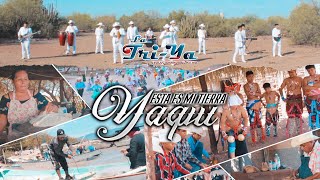 Esta es mi tierra Yaqui  Grupo La Triya VIDEO OFICIAL [upl. by Annahoj]