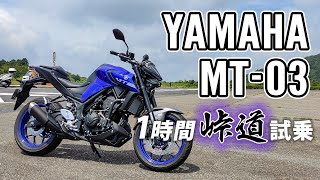 MT03 2020 YAMAHA【試乗レンタル】自分用乗り換え参考レビュー【モトブログ】 [upl. by Divadleahcim524]