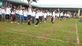 Konawaena Elem 2nd grade spring fest [upl. by Couq]