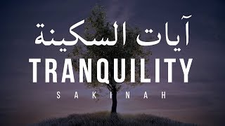 AYAT OF TRANQUILITY  SAKINAH أيات السكينة لدفع الهموم [upl. by Iralam982]