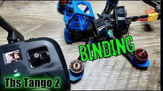 Tbs Tango 2 How to Bind to Receiver [upl. by Asilam716]