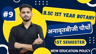 अनावृतबीजी bsc 1st year botany classes in hindi  botany bsc 1st year  botany 1st semester 2024 [upl. by Abrahams]