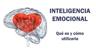 Inteligencia Emocional qué es y cómo utilizarla [upl. by Ailee892]