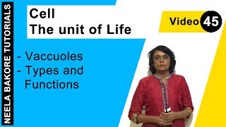 Cell  The unit of Life  NEET  Vacuoles  Types and Functions  Neela Bakore Tutorials [upl. by Dupre]