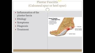 Skeletal Muscle Diseases [upl. by Emyaj]