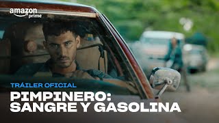 Pimpinero Sangre y Gasolina  Tráiler Oficial I Prime Video [upl. by Derby]