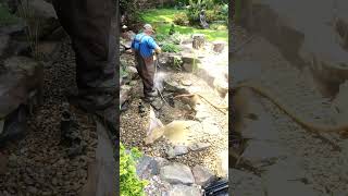 Another Backyard Pond Power Wash Cleaning  shorts [upl. by Hartill443]