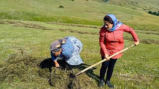 Harvesting and preparing feed for cows🐄Nomadic Life In IranAdventure in the Mountains village [upl. by Okorih]