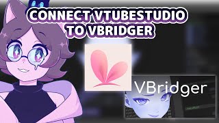 【TUTORIAL】How to Connect VtubeStudio to VBridger with IPhone 🔔 [upl. by Ecnaret]