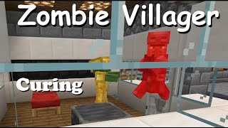 Zombie Villager Curing [upl. by Amby]