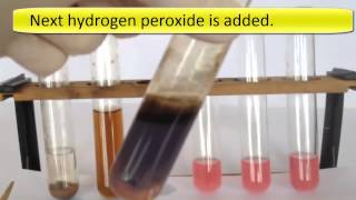 Metal complexes 10 The chemistry of Cobalt Complexes [upl. by Tsirhc]