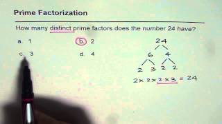 01 Distinct Prime Factors for 24 [upl. by Annnora]