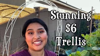 How to Make Stunning 6 DIY Garden Trellises for Climbing Plants [upl. by Glenn]