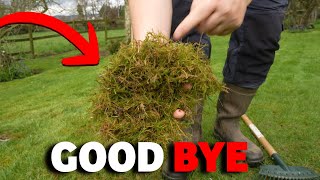 Best way to get rid of moss from ANY lawn [upl. by Wallinga192]