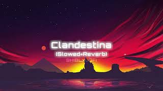 Clandestina  slowedreverbSHIBLxLOFI [upl. by Rad]