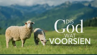 Diens 8 Okt  Dis God wat voorsien  Willie De Beer [upl. by Ahcropal293]