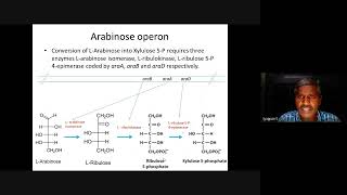 Molecular biology Arabinose operon [upl. by Kellie]