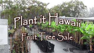 Plant it Hawaii fruit tree sale [upl. by Three]