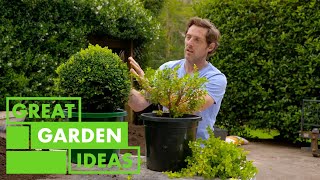 Topiary Basics  GARDEN  Great Home Ideas [upl. by Carlos688]