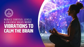 Sound Vibrations to Calm the Brain and Reduce Cortisol Levels  Unleash the Vagus Nerve [upl. by Enila598]