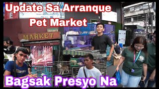 Latest Update Sa Arranque Pet Market Dec20 2023 [upl. by Riplex95]