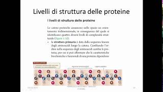 7Macromolecole Biologiche Carboidrati amp Proteine [upl. by Anaoj66]