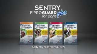 How to Apply SENTRY Fiproguard Plus for Dogs [upl. by Egag674]