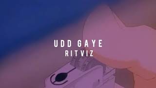 Udd gaye  ritviz  slowed  reverb [upl. by Armillda]