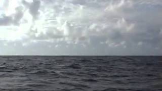 wwwparinavoyagecom  Sailing the Gemini Catamaran Sailing  4 [upl. by Garwin]