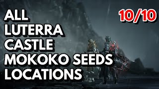 All Luterra Castle Mokoko Seeds Locations  Lost Ark [upl. by Ayisan]