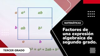 15 Factores de una expresión algebraica de segundo grado [upl. by Desma594]