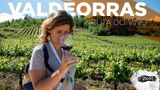 🍇 Conoce la auténtica Ruta del vino 🍷 de Valdeorras  Orense Galicia [upl. by Ahsirahc385]